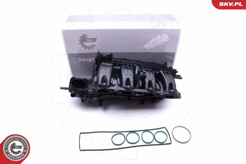 Intake Manifold Module